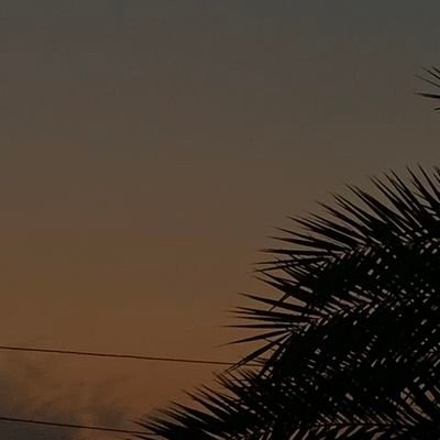 احمد