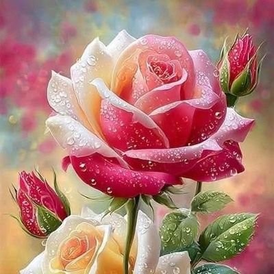 د.اسد