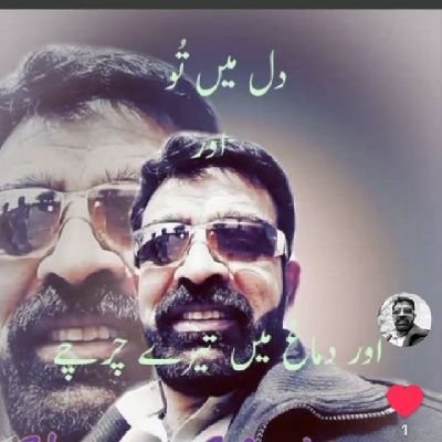 امیدبہار
