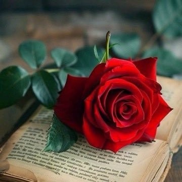 صباگل