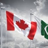 تیمور