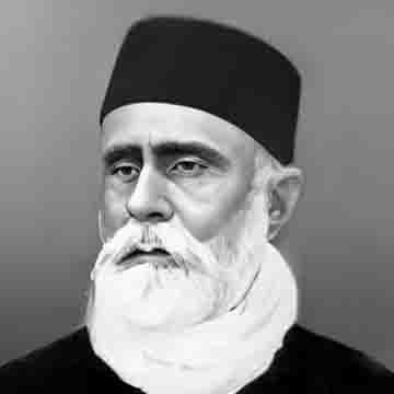 الطاف حسین حالی